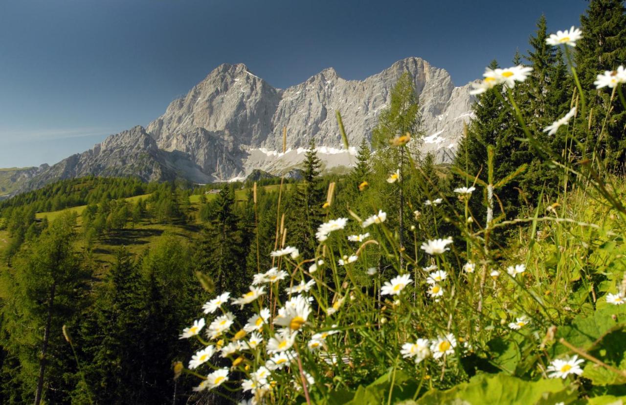 Haus Landart Daire Schladming Dış mekan fotoğraf